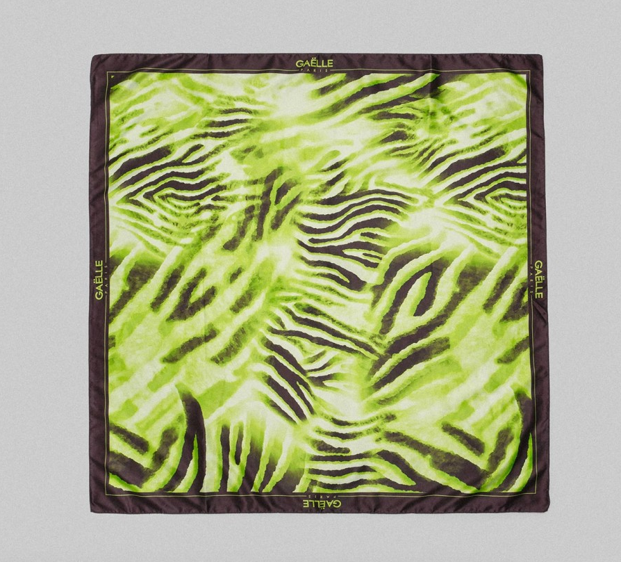 Foulard GAELLE PARIS GBADP4384