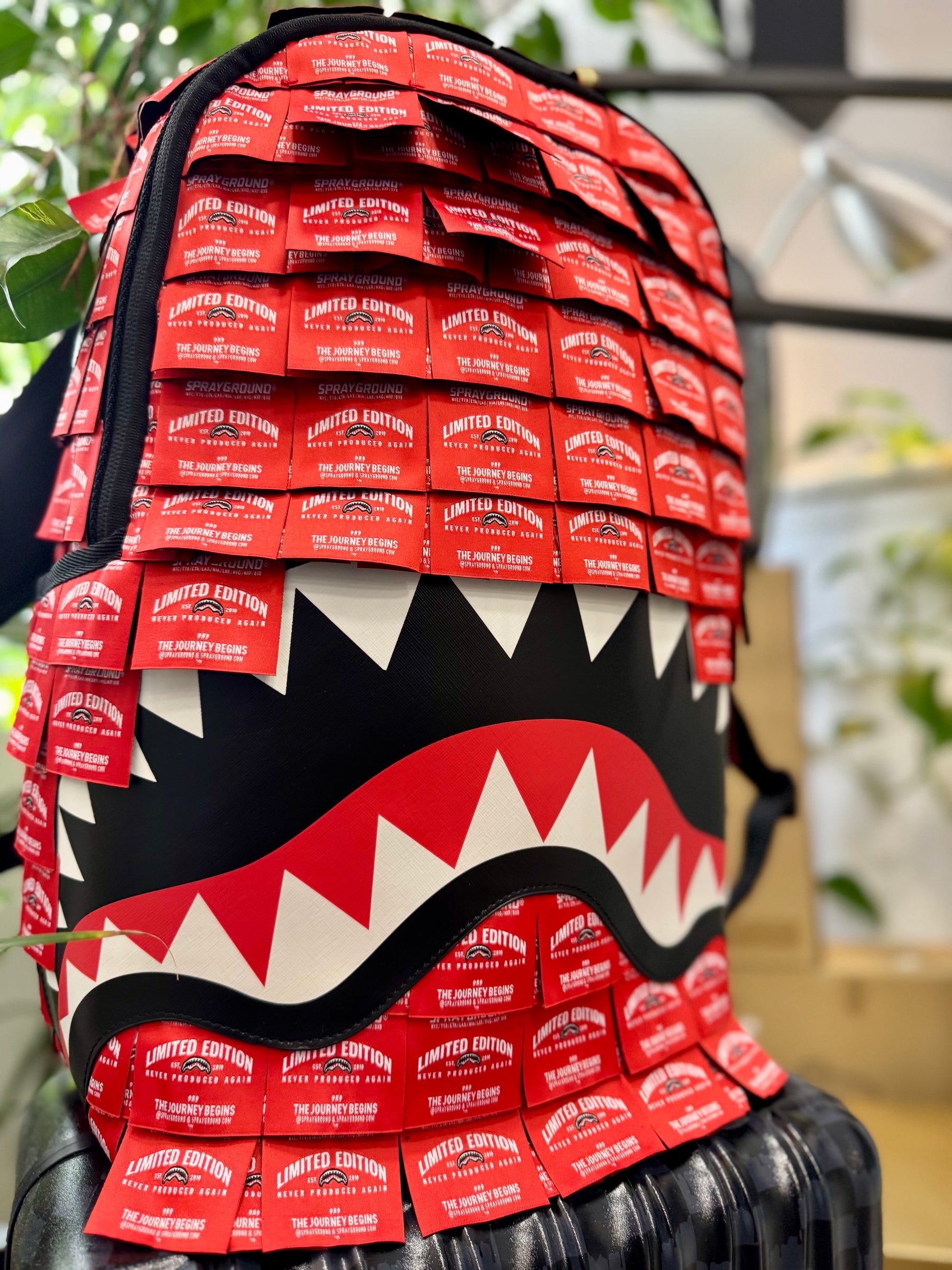 COLLEZIONE SPRAYGROUND